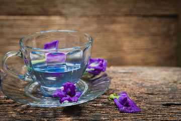 Obraz na płótnie Canvas Violet flower Asian pigeonwings or Butterfly Pea Heabal hot drinking tea refresh Thai herb drink on wood background