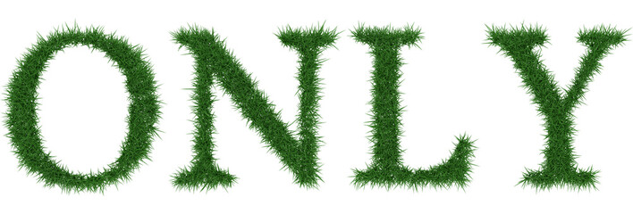 Only - 3D rendering fresh Grass letters isolated on whhite background.