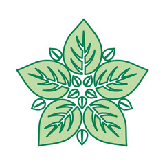 leaves icon over white background colorful design vector illustration