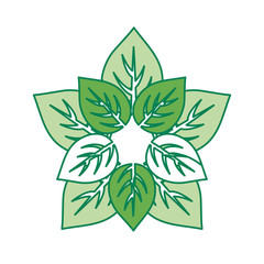 leaves icon over white background colorful design vector illustration