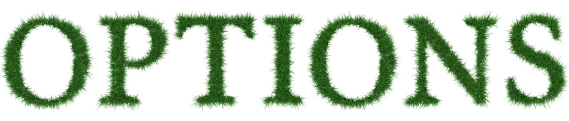 Options - 3D rendering fresh Grass letters isolated on whhite background.