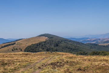 Forestry mountain peak