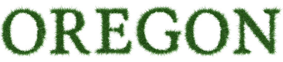 Oregon - 3D rendering fresh Grass letters isolated on whhite background.