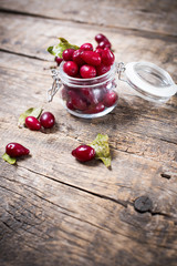 Ripe Cornel Berries Small Jar Autumn Harvest
