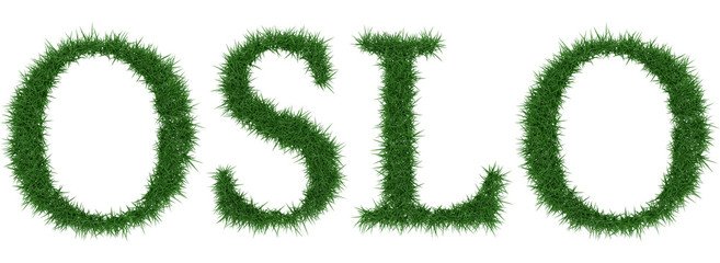 Oslo - 3D rendering fresh Grass letters isolated on whhite background.