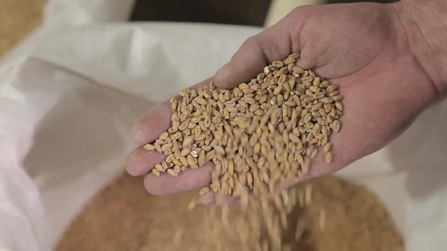 malt in bags for brewing