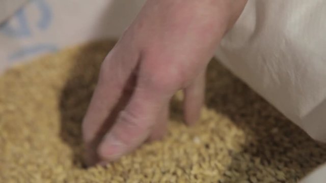malt in bags for brewing