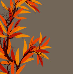 Orange Leaves Branch - Festive Background