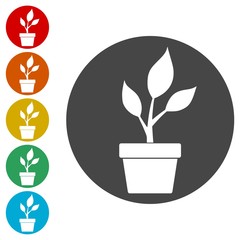 Young plant vector icons set 