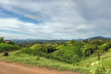 Naklejka premium Mountains, forests