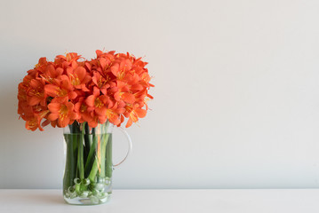 Close up of orange clivia flowers in glass jug on white table against neutral wall background with copy space