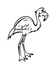 Flamingo Bird Drawing  clip-art vector illustration
