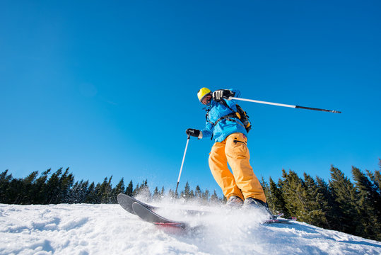Low angle shot of a male skier skiing on fresh snow in the mountains on a sunny beautiful day. Blue sky and winter forest on the background. extreme fun happiness activity lifestyle concept