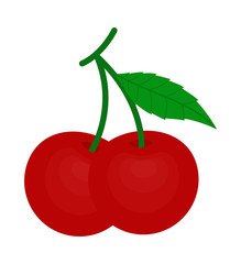 Fresh Red Cherry Icon Vector