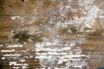 Naklejka premium Abstract wooden background with remnants of white paint