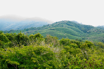 Landscape Thailand