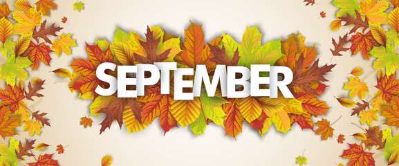 Herbstblätter mit dem Wort September - obrazy, fototapety, plakaty