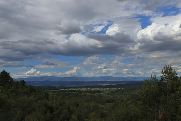 Vine and cloudy sky in french countryside. Occitanie in south of France