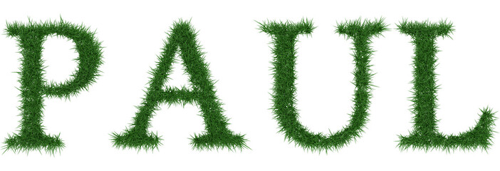 Paul - 3D rendering fresh Grass letters isolated on whhite background.