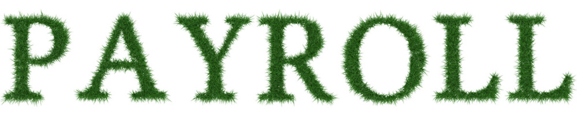 Payroll - 3D rendering fresh Grass letters isolated on whhite background.