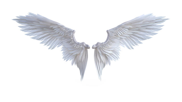 3d Illustration Angel wings, white wing plumage isolated on white background.