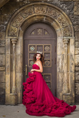 A beautiful woman, a queen in a red luxurious dress, stands against the backdrop of a medieval, medieval, gothic door with an arch. Medieval fantasy. Attractive Princess