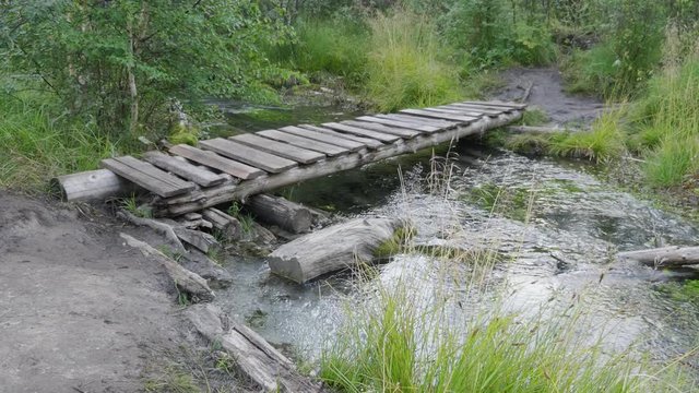 Old small bridge through a river in a forest.