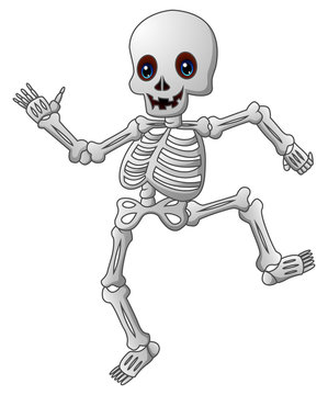 Cute skeleton cartoon