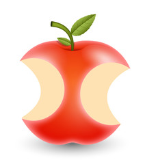 Delicious Apple  vector illustration clip-art
