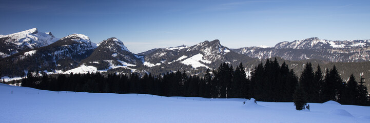 Fototapeta na wymiar Alpenpanorama im Winter, Kleinwalsertal, Alpen, Österreich, Europa