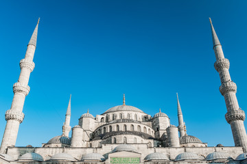 Fototapeta na wymiar The Blue Mosque of Istanbul