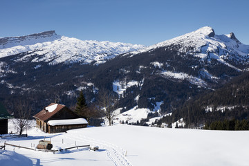 Alpenpanorama, Kleinwalsertal, Alpen, Österreich, Europa