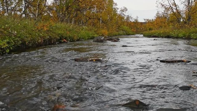 Small river stream at the mountain of Finnmark, Norway