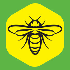 Linear pattern with a bee on the honeycomb.