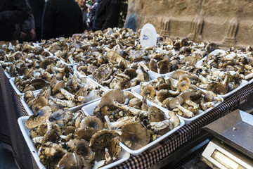 Mushroom flea market of Cardona in Catalonia, Spain