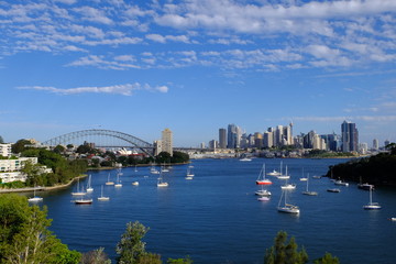 The harbour bridge view point from the hill.