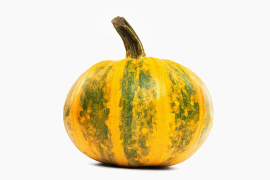 Ripe single orange and green pumpkin with clipping path isolated at white background.