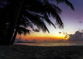Naklejka na ściany i meble Sunset Beach with palm trees and beautiful sky.