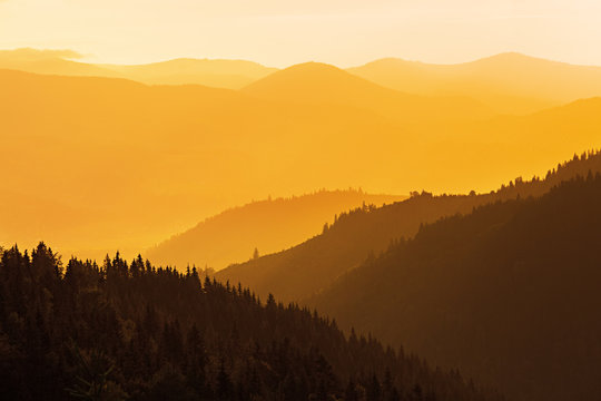 Mountains covered with woods in the early morning light