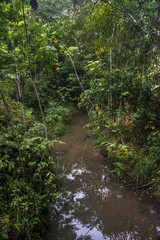 Fototapeta na wymiar Córrego (rio) | Stream photographed in Linhares, Espírito Santo - Southeast of Brazil.