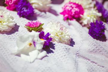 Pink and violet flowers on white plaid