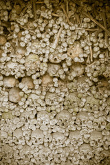 Skulls in sepia