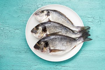 Raw dorado fish on white plate on blue background. Top view, copy space