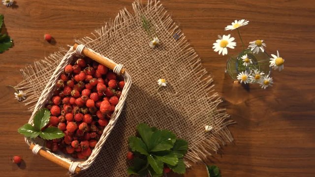 Strawberries and a bouquet of chamomiles on the table. Top view.