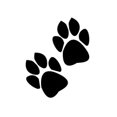 traces of animals on a white background