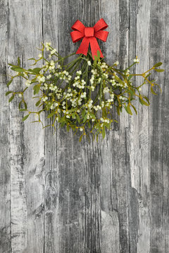 Christmas mistletoe in a bunch with a red bow on distressed rustic wood background.