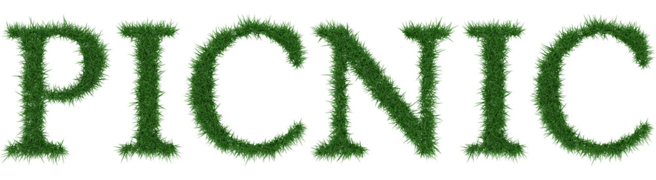 Picnic - 3D rendering fresh Grass letters isolated on whhite background.