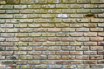 Old red brick, nature background at temple Thailand