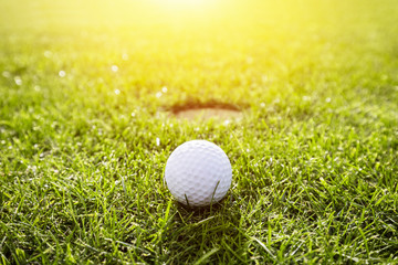 Golf ball on a grass. Sunshine