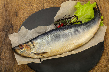 Herring fish